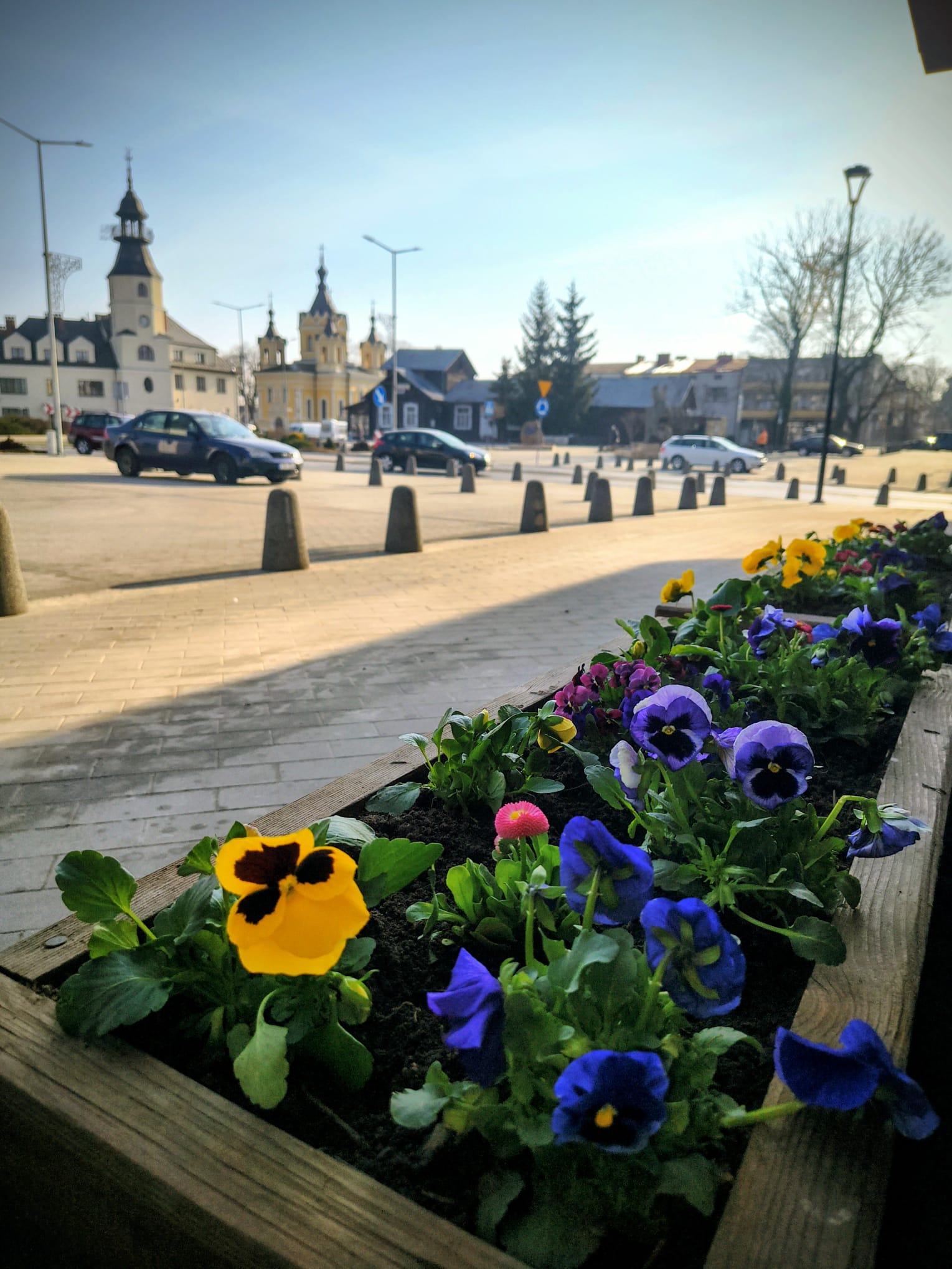 ZielarniaMaj